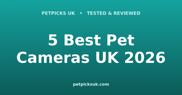 5 Best Pet Cameras UK 2026: Watch, Talk & Treat Your Pet
