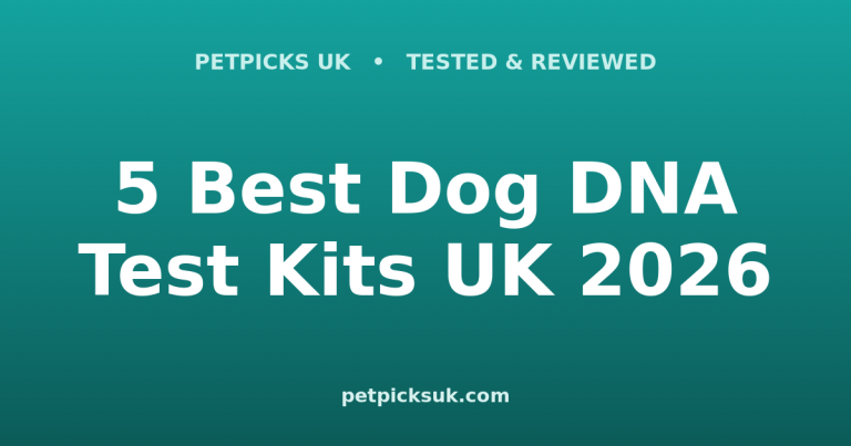 5 Best Dog DNA Test Kits UK 2026: Breed & Health Insights